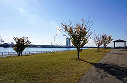 広大な芝生広場